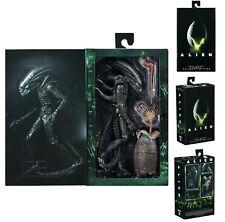 Figurine ALIEN BIG CHAP Ultimate edition 40e anniversaire Film Horreur Movie